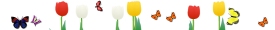Spring is here!
